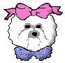 bowgirl