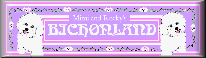 Bichonland Banner